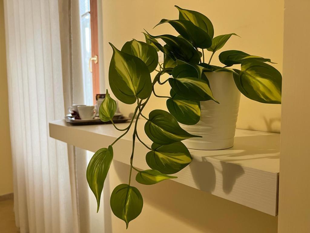 Pompei Royal Suite Екстер'єр фото